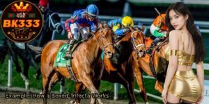 Example_-How-a-Boxed-Trifecta-Works.