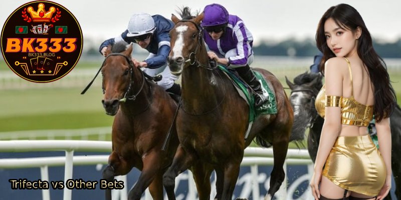 Trifecta-vs-Other-Bets.