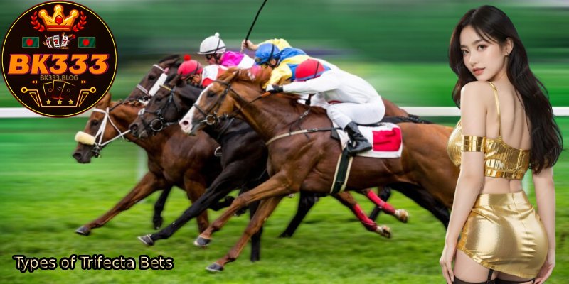 Types-of-Trifecta-Bets.