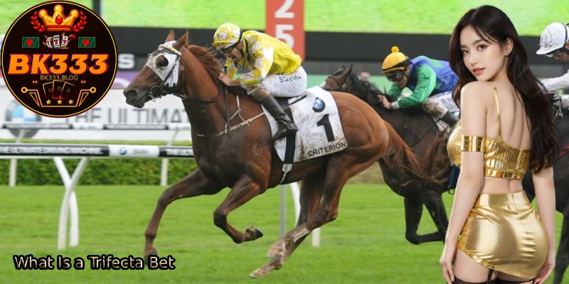 What-Is-a-Trifecta-Bet